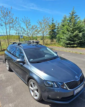 dolnośląskie Skoda Octavia cena 55000 przebieg: 137000, rok produkcji 2017 z Jutrosin